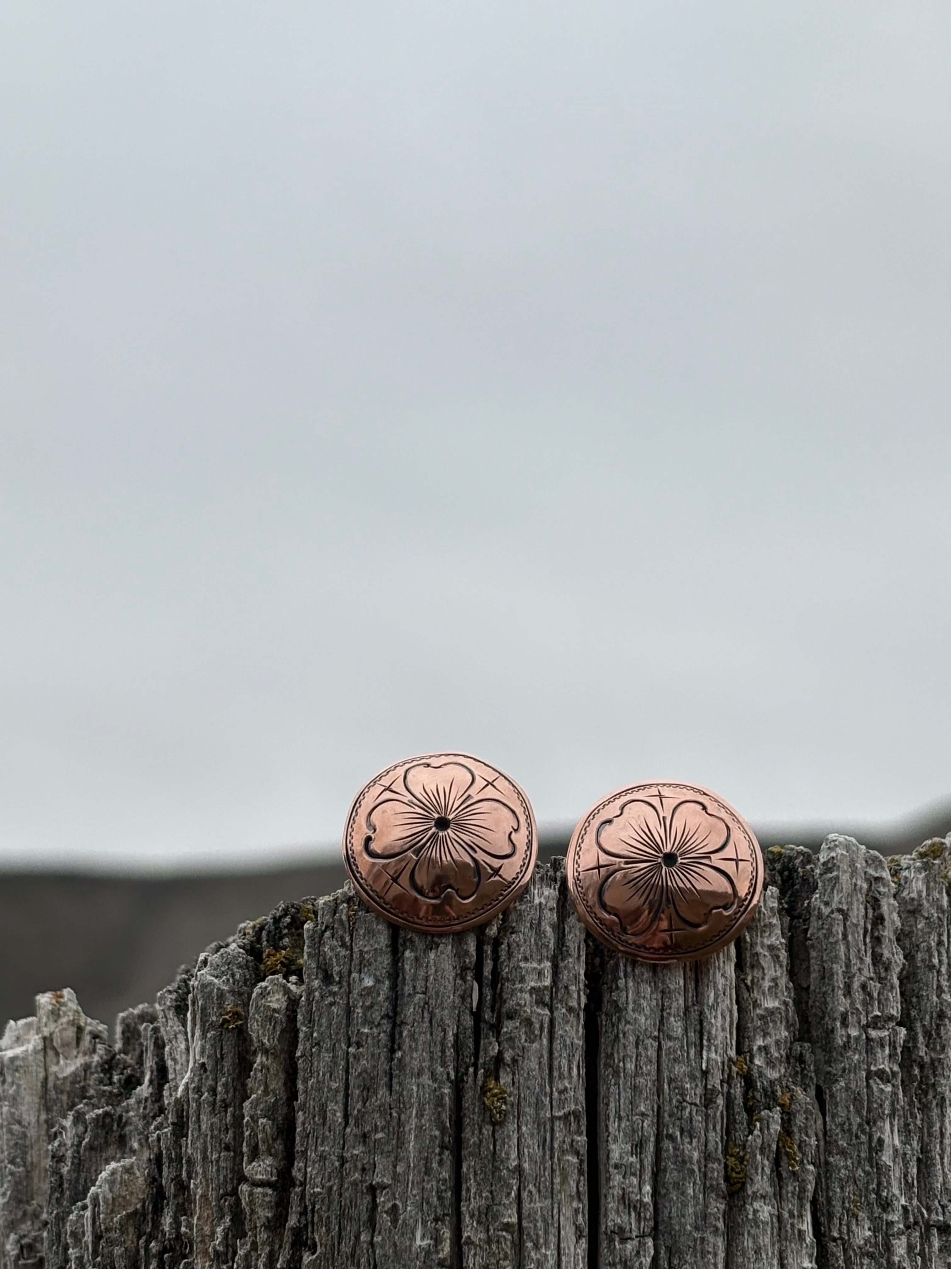 Copper Darlings (preorder)