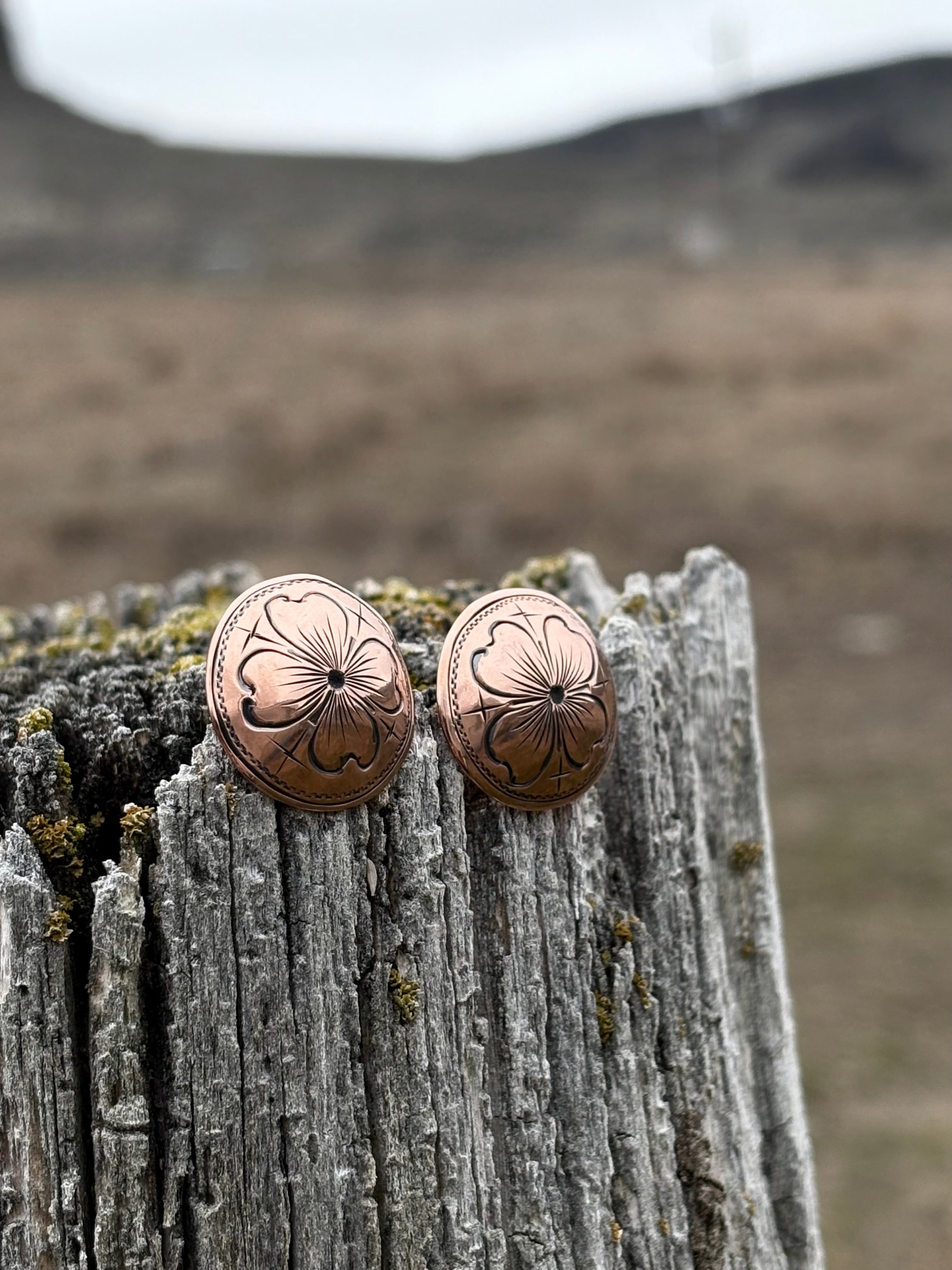 Copper Darlings (preorder)