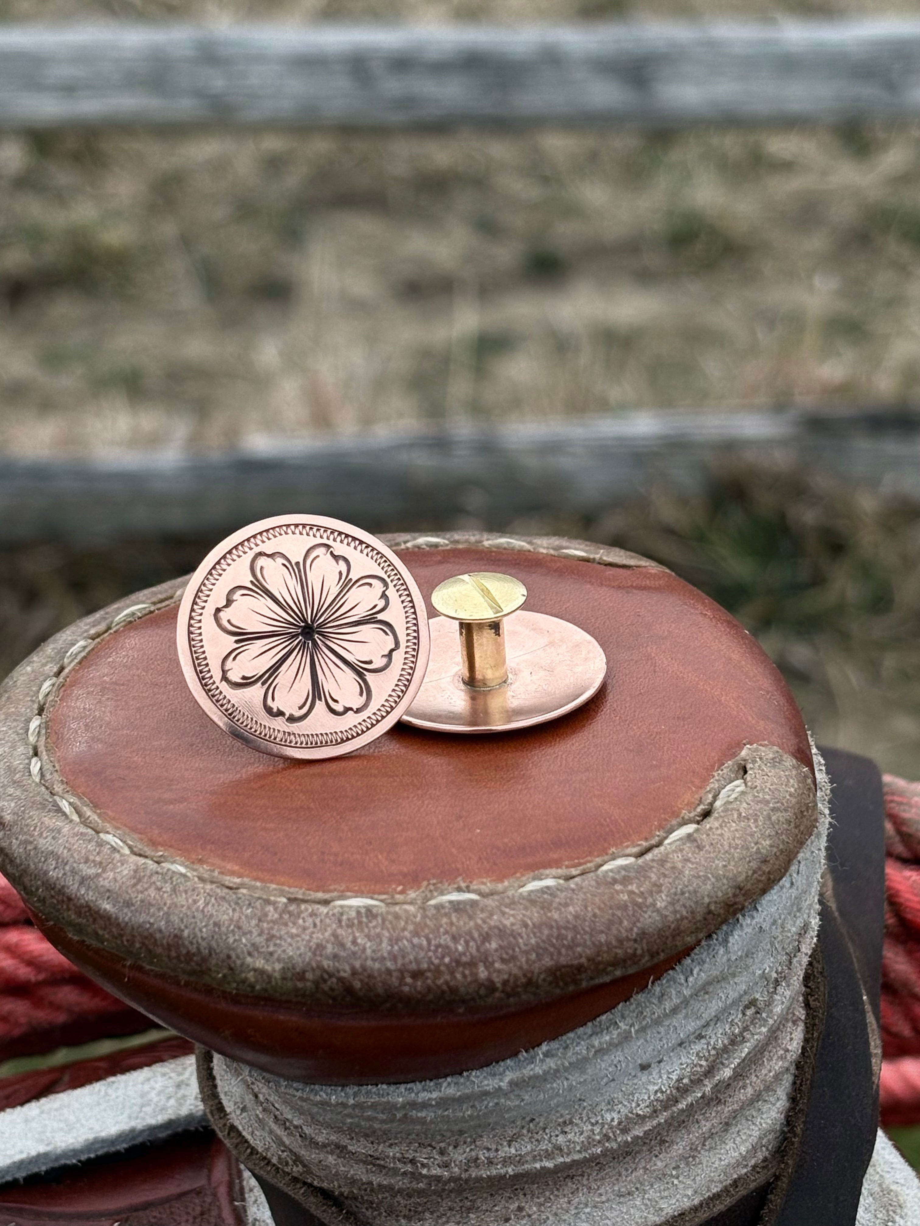 Open Country Conchos